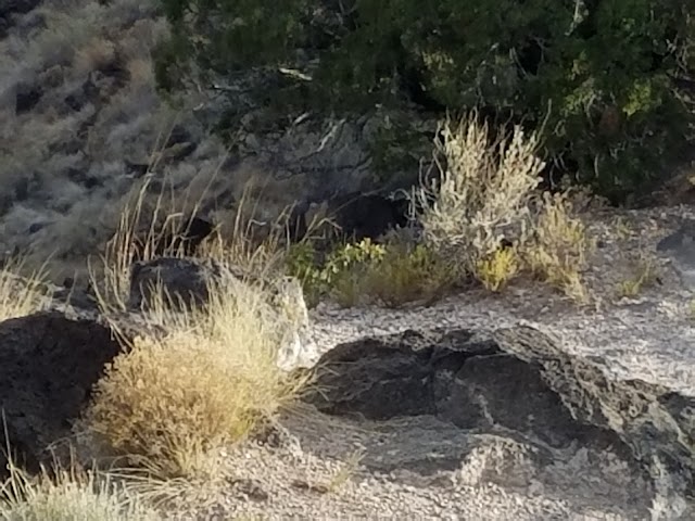White Rock Overlook