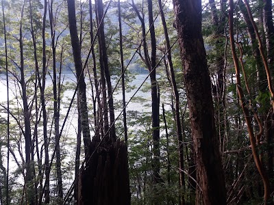 Photos of Laguna Quepe