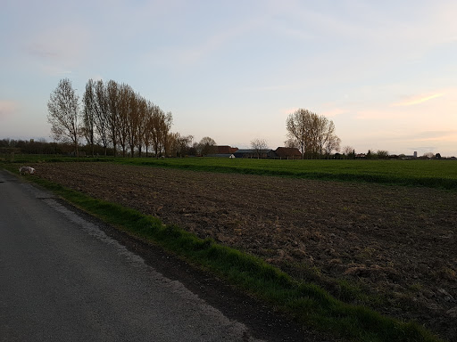 Dekra France Wambrechies - Thumbnail