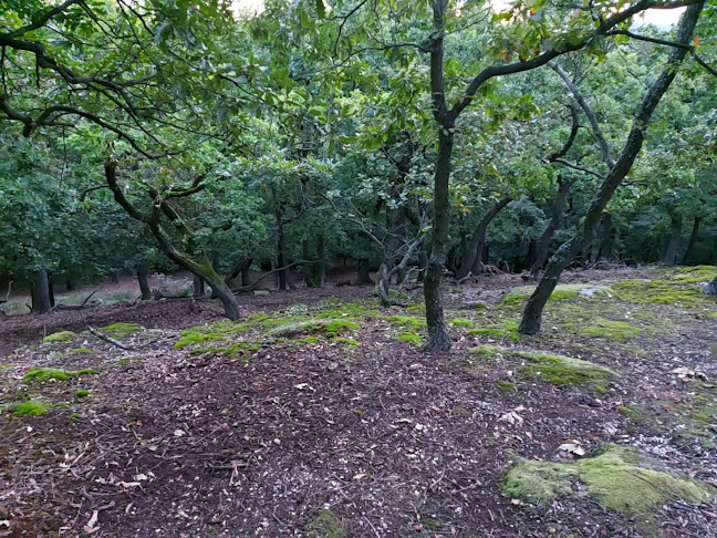 Értékelések erről a helyről: Parkolj és bringázz! (P+B) pont, Budakeszi - Parkoló