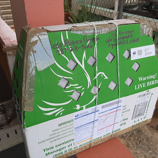 Siegel Pigeon Supplies