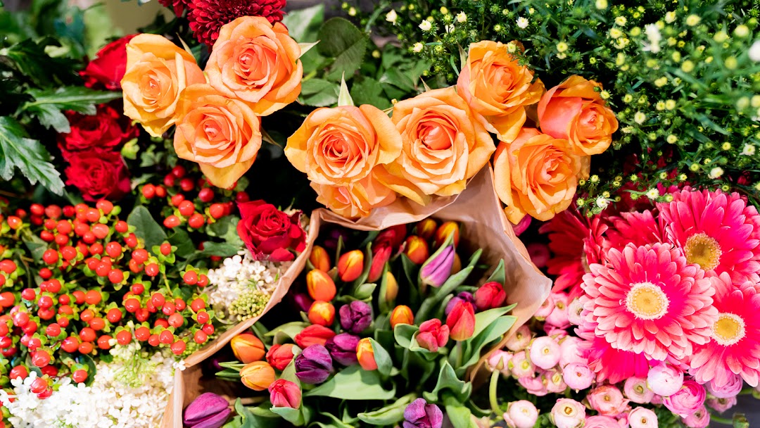 Opnieuw schieten weer beloning Oktober in Huis | Bloemen Bezorgen in Eindhoven | Boeketten | Rouwbloemen  |Funeral flowers and bouquets - Voor al uw boeketten en rouwarrangementen