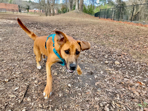 Cahaba Dog Park - Thumbnail