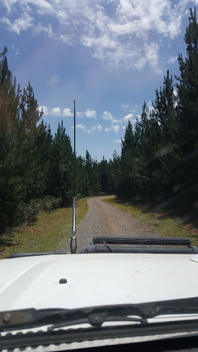 Strathbogie Recreation Reserve - Thumbnail