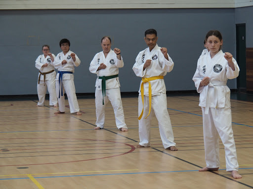 Shim Jang TaeKwonDo Aberfoyle Park - Thumbnail