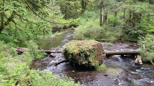 Silver Falls State Park