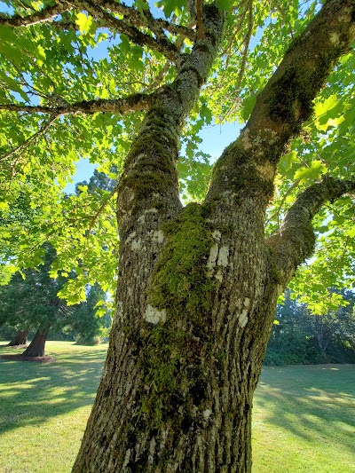 Laurel Hill Park