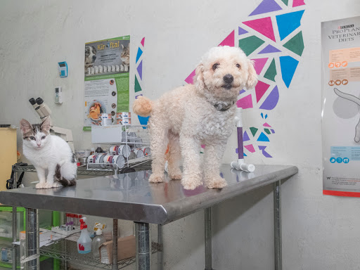 Veterinaria Goez