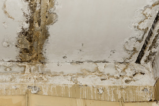 Morris Restoration LLC - Thumbnail