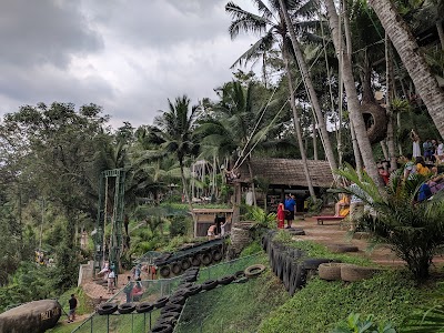 Photos of Bali Swing