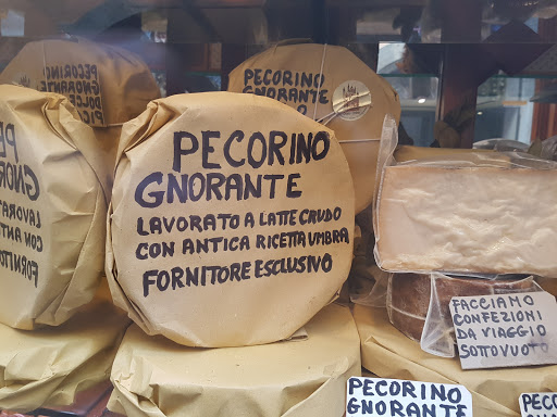 Solini Marcello Srl