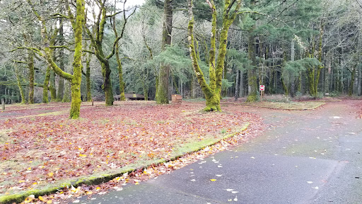Wyeth Campground - Visual
