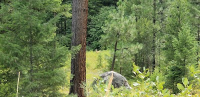 Tin Cup Trailhead