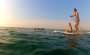 Photo n°21 de Ecole de Stand Up Paddle Papaï Paddle Ile de Ré à Le Bois-Plage-en-Ré (Service de location d'équipements de sports nautiques)