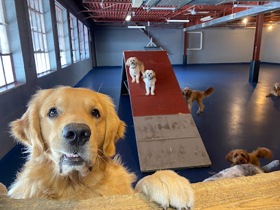 Great Expectations Dog Center