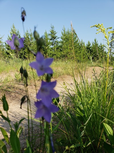 Mississippi Headwaters State Forest