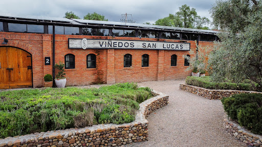 Viñedos San Lucas