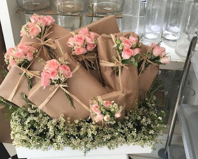 Photos of Amaryllis Flowers