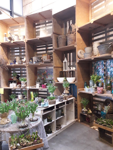 A. A. van der Vlugt and Zn. Flowers and Bulbs