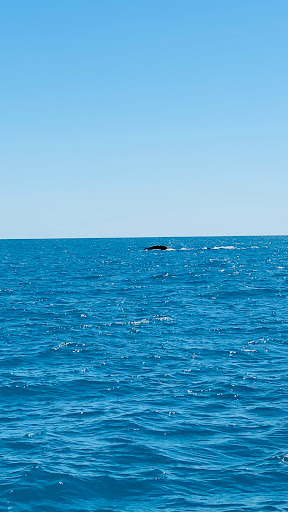 Kalbarri Maritime Facility - Thumbnail