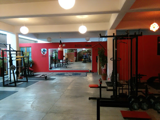 DIXON Boxing & Gym - Thumbnail