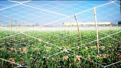 Photos of سنترال التركي لخدمات المحمول