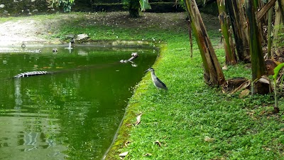 Photos of Crocodile Zoo