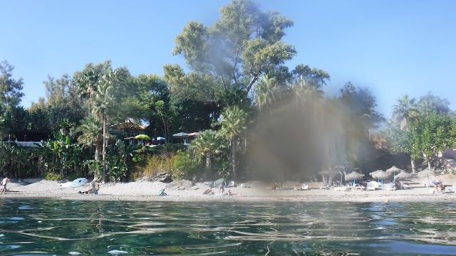 Viborilla beach