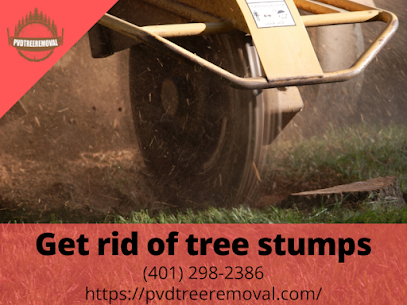 Best way to get rid of tree stumps Warwick RI