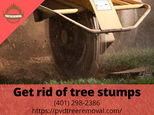 Stump Removal