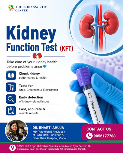 Kidney Function Test (KFT): Know What Your Kidneys Are Telling You post image