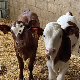 Photo n°2 de GAEC des Charneau à Champvans (Éleveur)