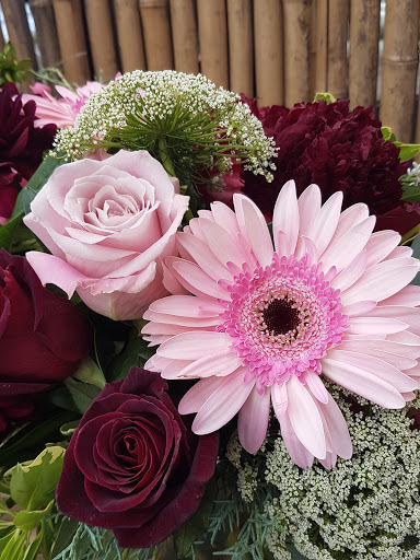 Wild Roots Flowers & Gifts - Thumbnail