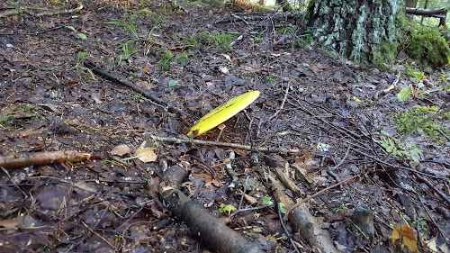 Vooremäe discgolfipark