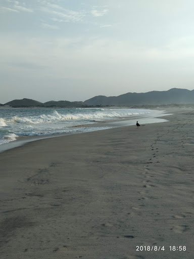 Playa Brasil - Thumbnail