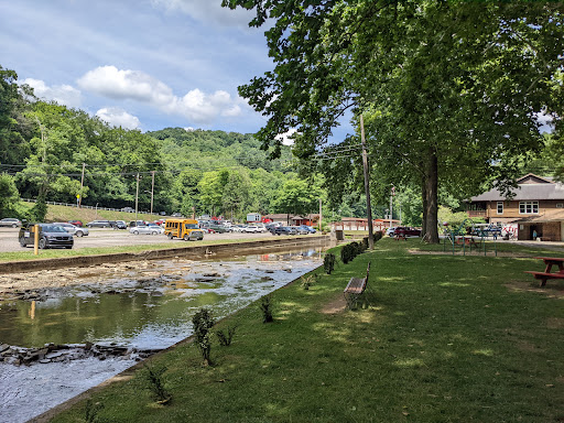 Avonworth Community Park - Thumbnail