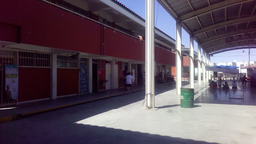 Mariano Abasolo School