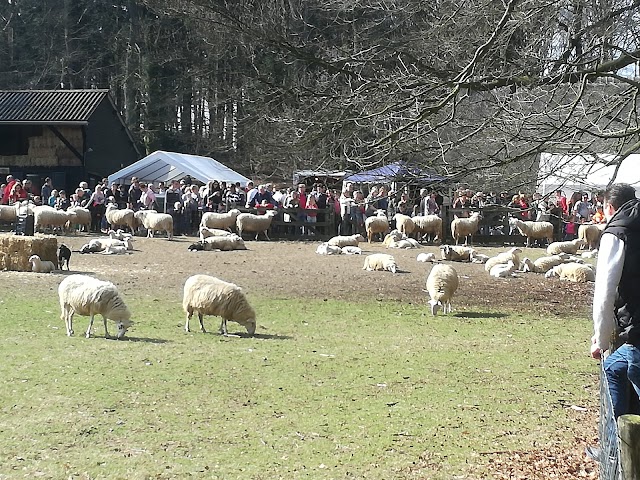 Parc national de Veluwezoom