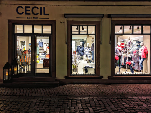 Cecil Store Steinwinter - Visual