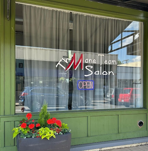 The Mane Team Salon Gallery - United States