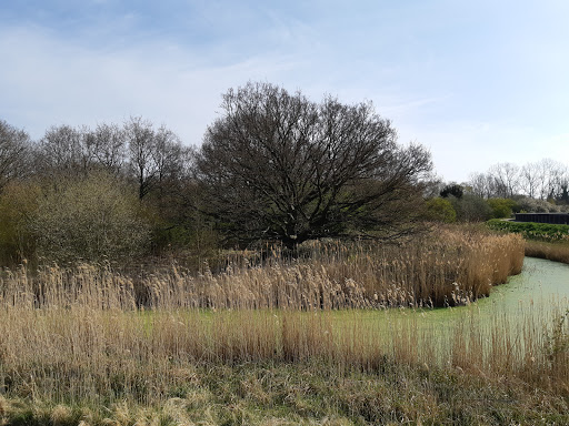 Melton Riverside - Thumbnail