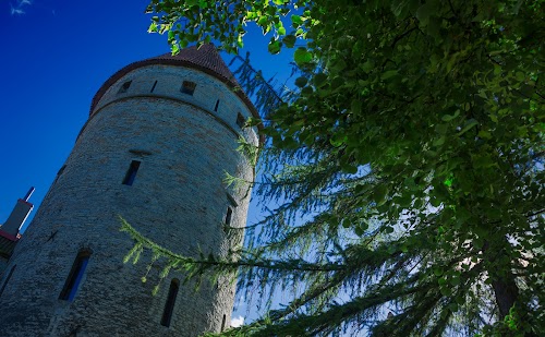 Eppingi Tower