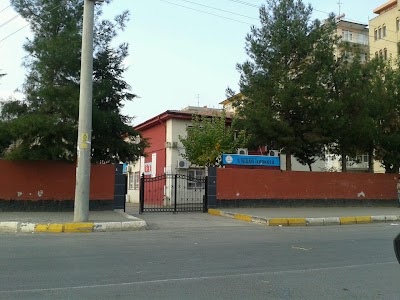 Photos of April 5th Primary School