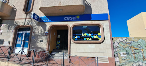 ONG Cesal | Sede Canarias