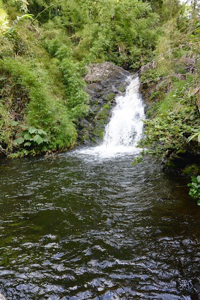 Photos of Marojejy Nature Reserve