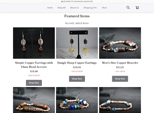 Proverbs31 Accessories - Visual