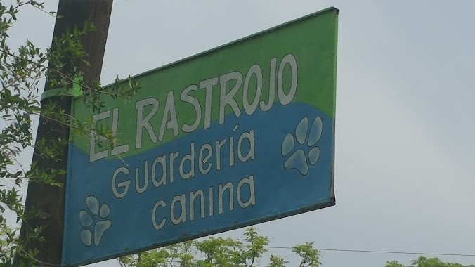 El Rastrojo Guardería Canina, Author: Leila Soria Arlla