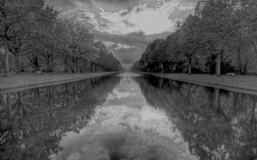 Avenue Estates - Visual