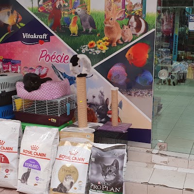 Kocaeli Pet Shop