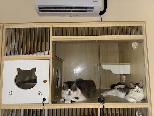 Oyen Buddy Pet Shop & Cat Hotel